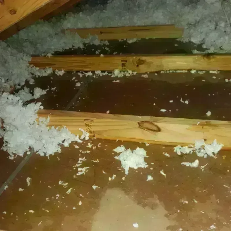 Attic Water Damage in Mission, OR