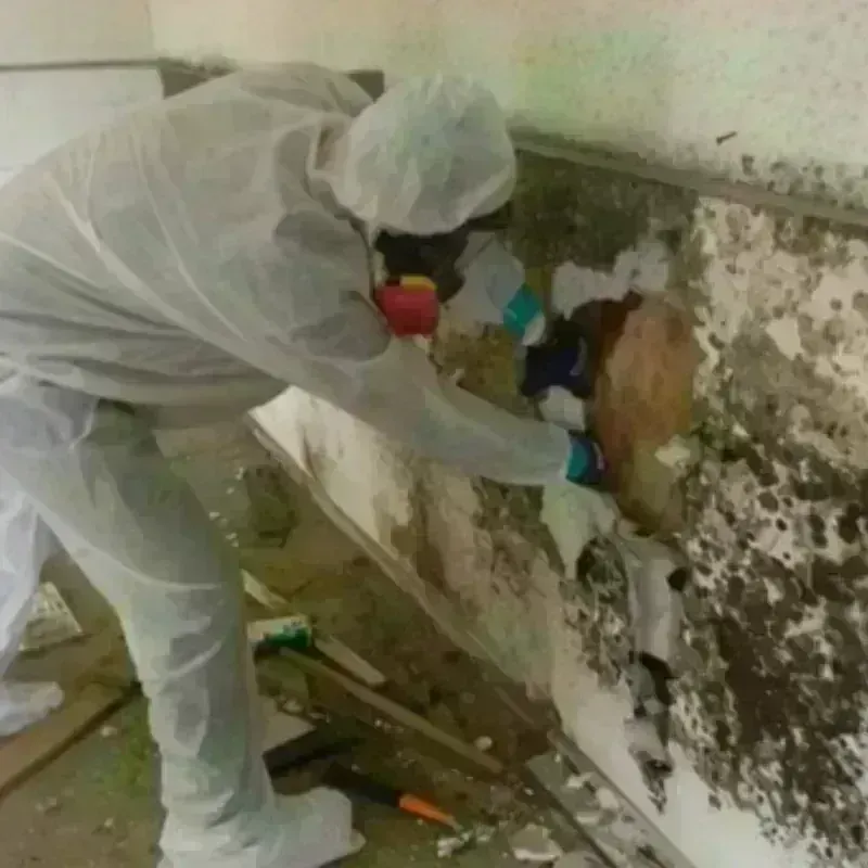 Mold Remediation and Removal in Mission, OR