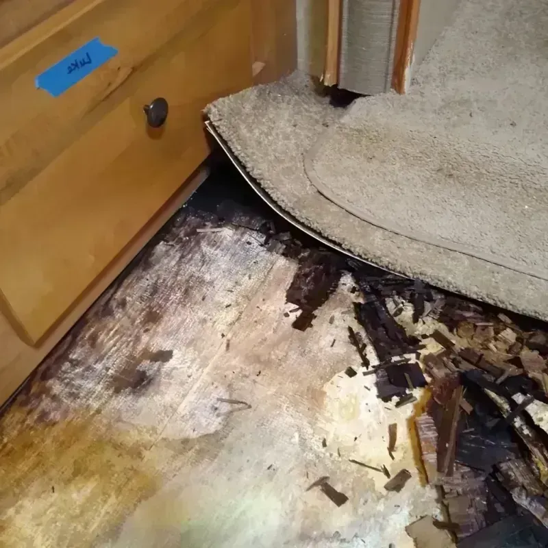 Wood Floor Water Damage in Mission, OR